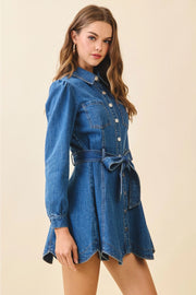 Birdie Denim Dress