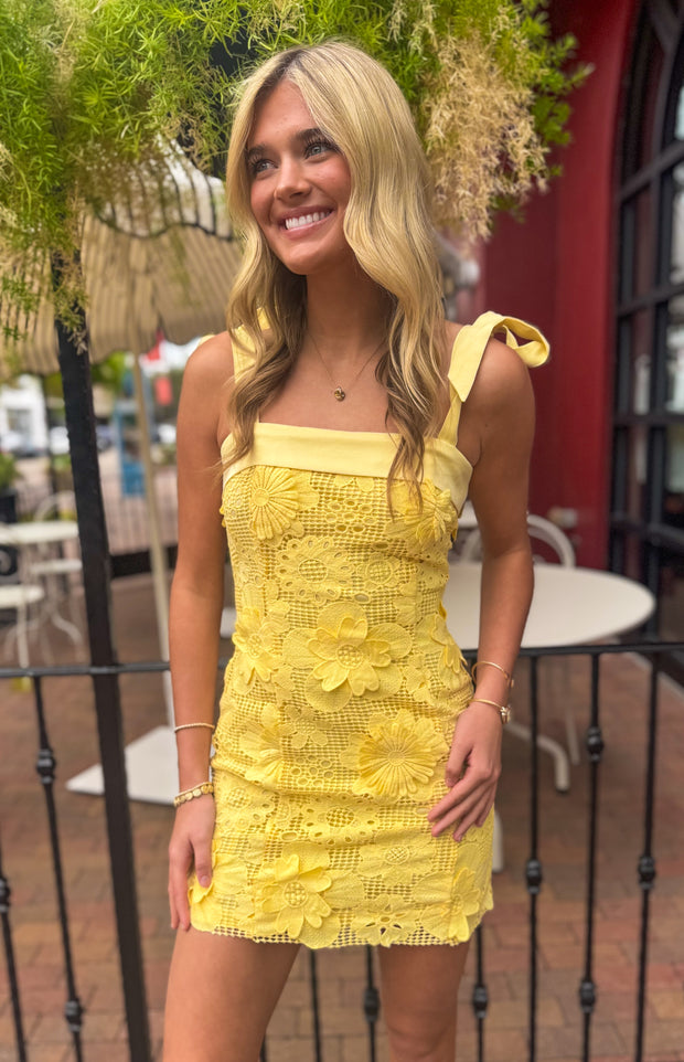 Daisy Lace Mini Dress Daisy Lace Mini Dress