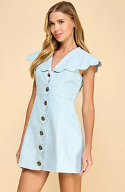 Daisy Denim Dress