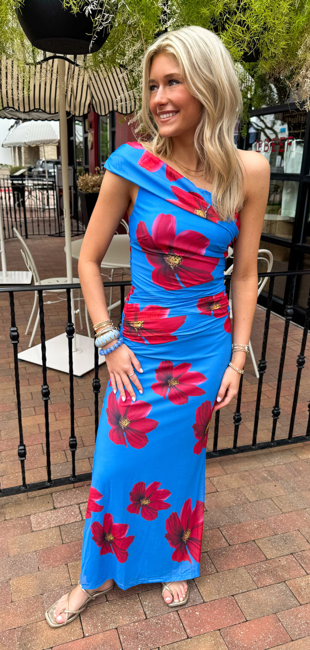 Laguna Oasis Mesh Maxi – Ella Bleu Boutique