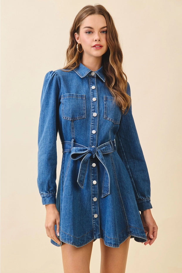 Birdie Denim Dress