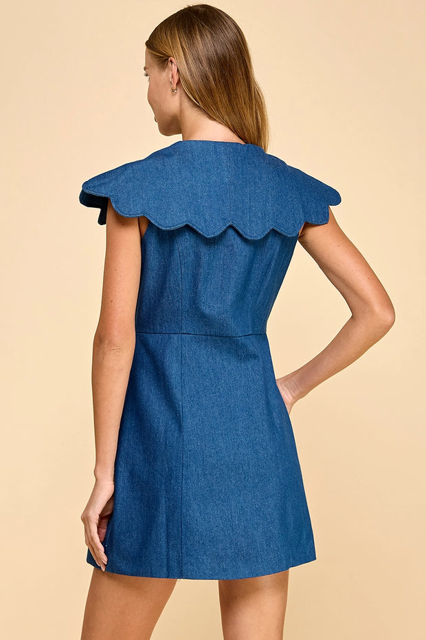 Ally Denim Dress