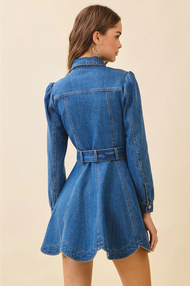 Birdie Denim Dress