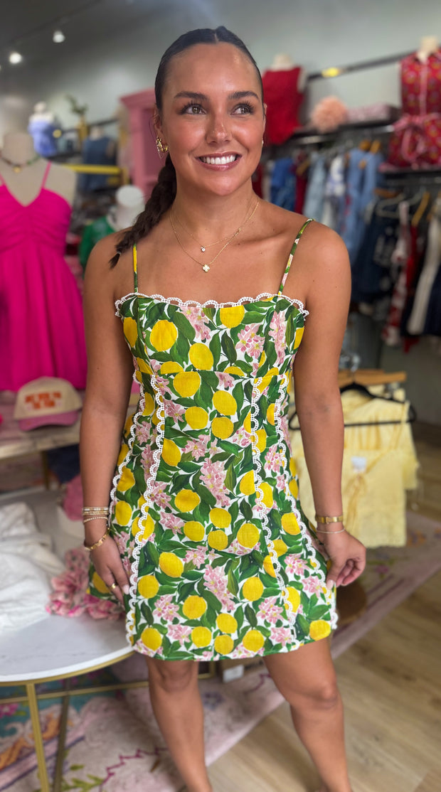 Isabella Embroidered Dress – Ella Bleu Boutique